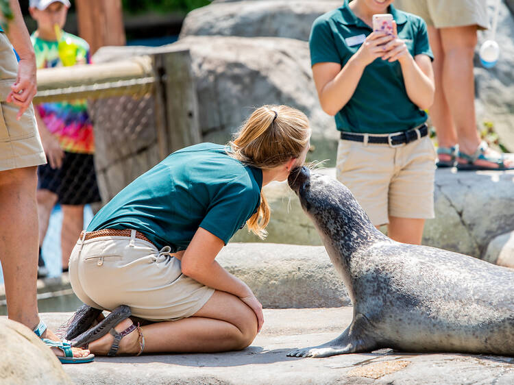 St. Louis Zoo | St. Louis, MO