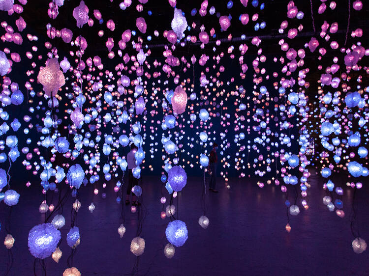 Best exhibition: Pipilotti Rist: Big Heartedness, Be My Neighbor