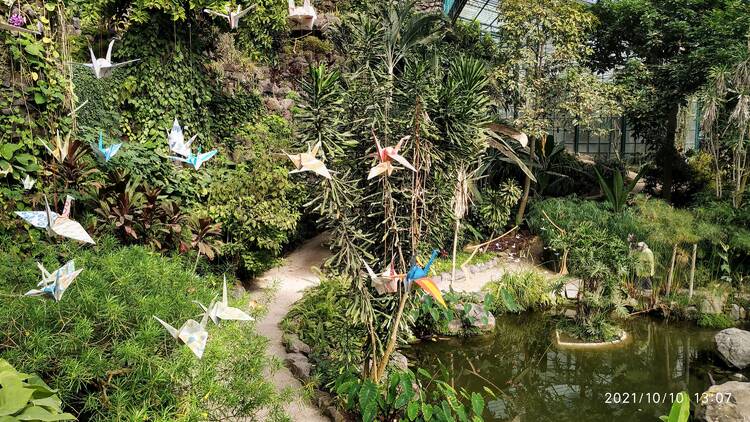 1000 pássaros na Estufa Fria