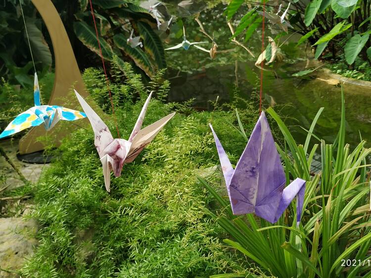 Exposição virtual “1000 Pássaros” ganhou asas a sério na Estufa Fria Exposição virtual “1000 Pássaros” ganhou asas a sério na Estufa Fria