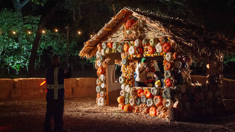 Pumpkin house at Carved