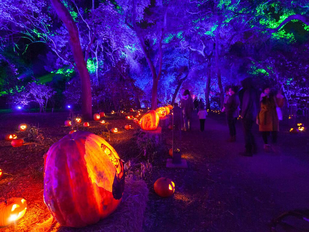 Halloween Events in L.A. for Spooky Fun in 2021