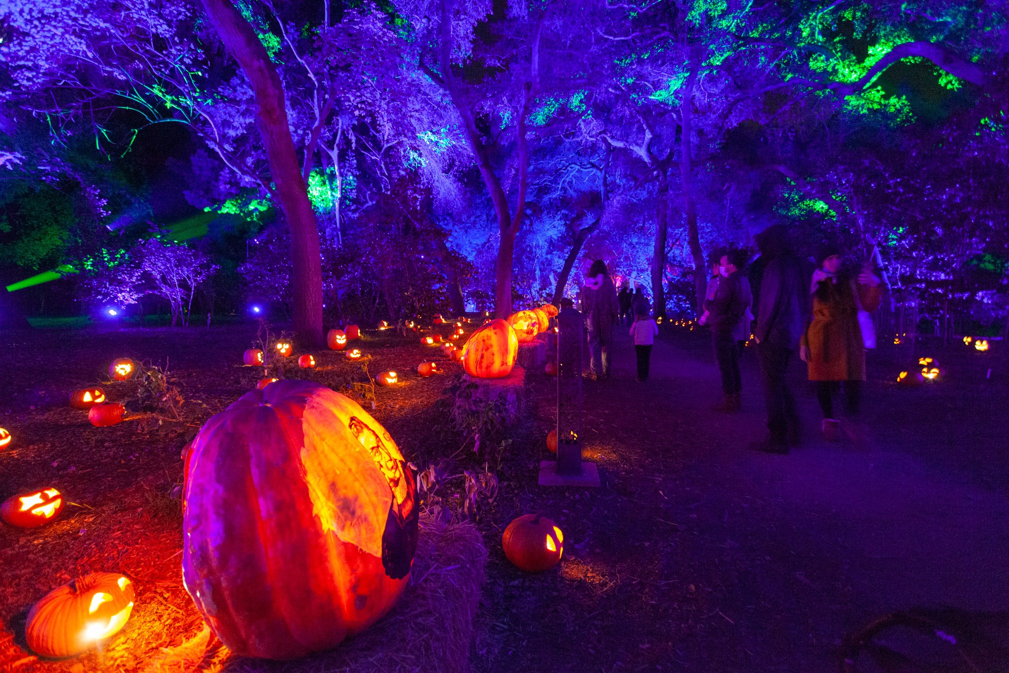 Los Angeles & Beyond: Halloween Guide 2021 - Haunts & Horror!