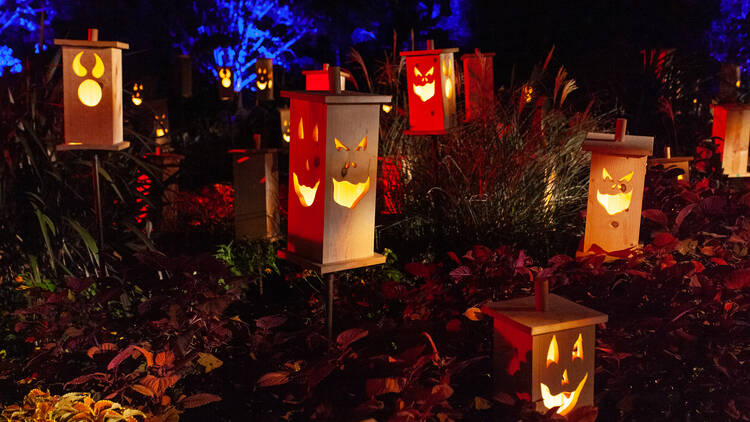 Halloween Trails Near Me 2022