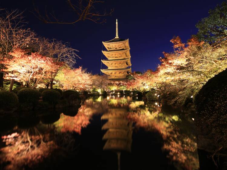 These seven Kyoto temples are lighting up for autumn night visits