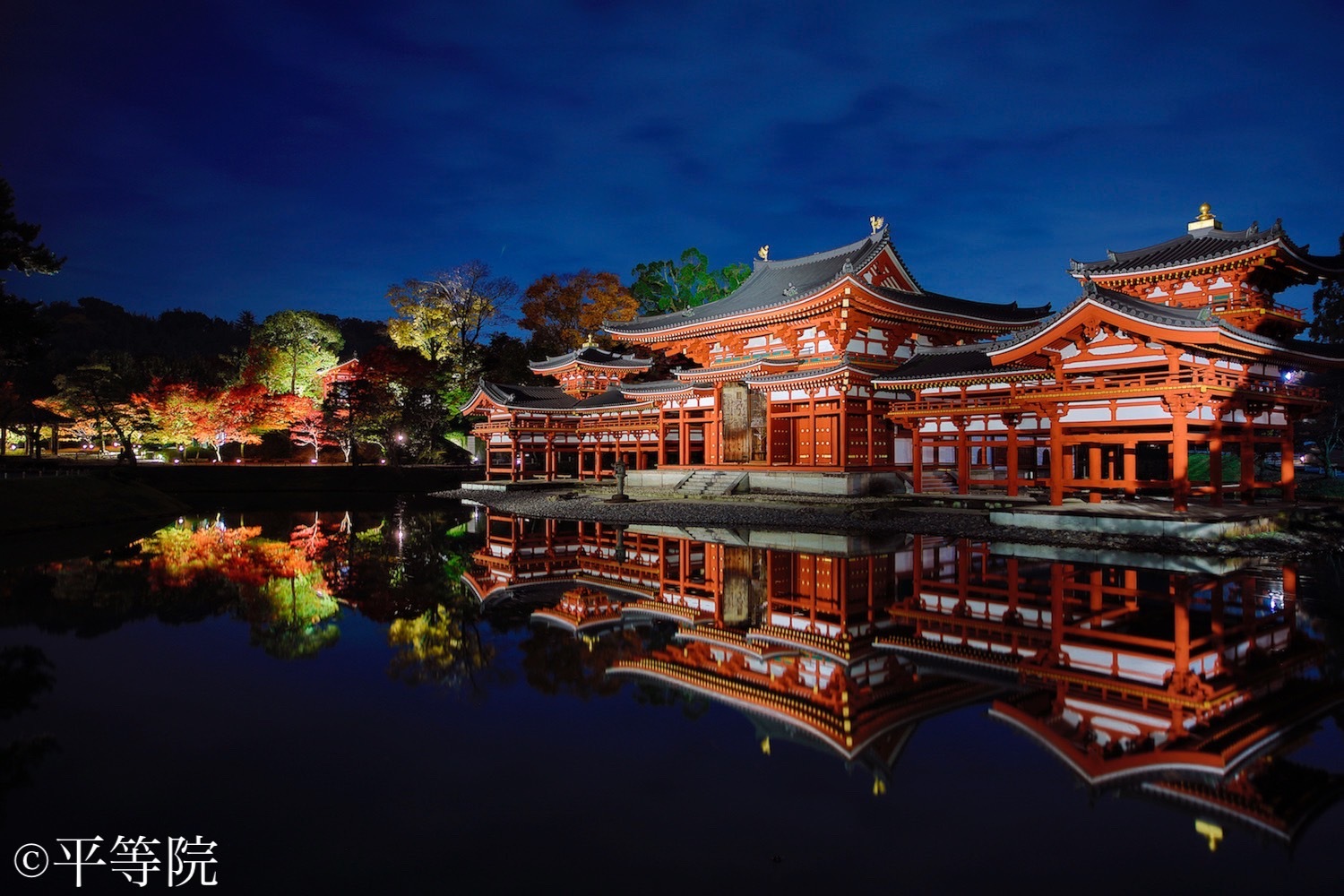 Night visit. 京 картинки. Japan large. Phoenix Hall Kyoto High Resolution. “京都sousou.