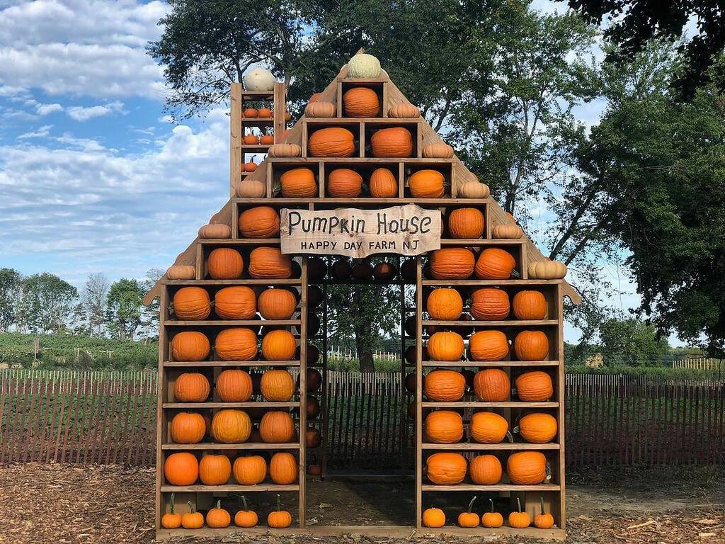 Pumpkin Patches Near NYC: 20 Best Farms For Pumpkin Picking