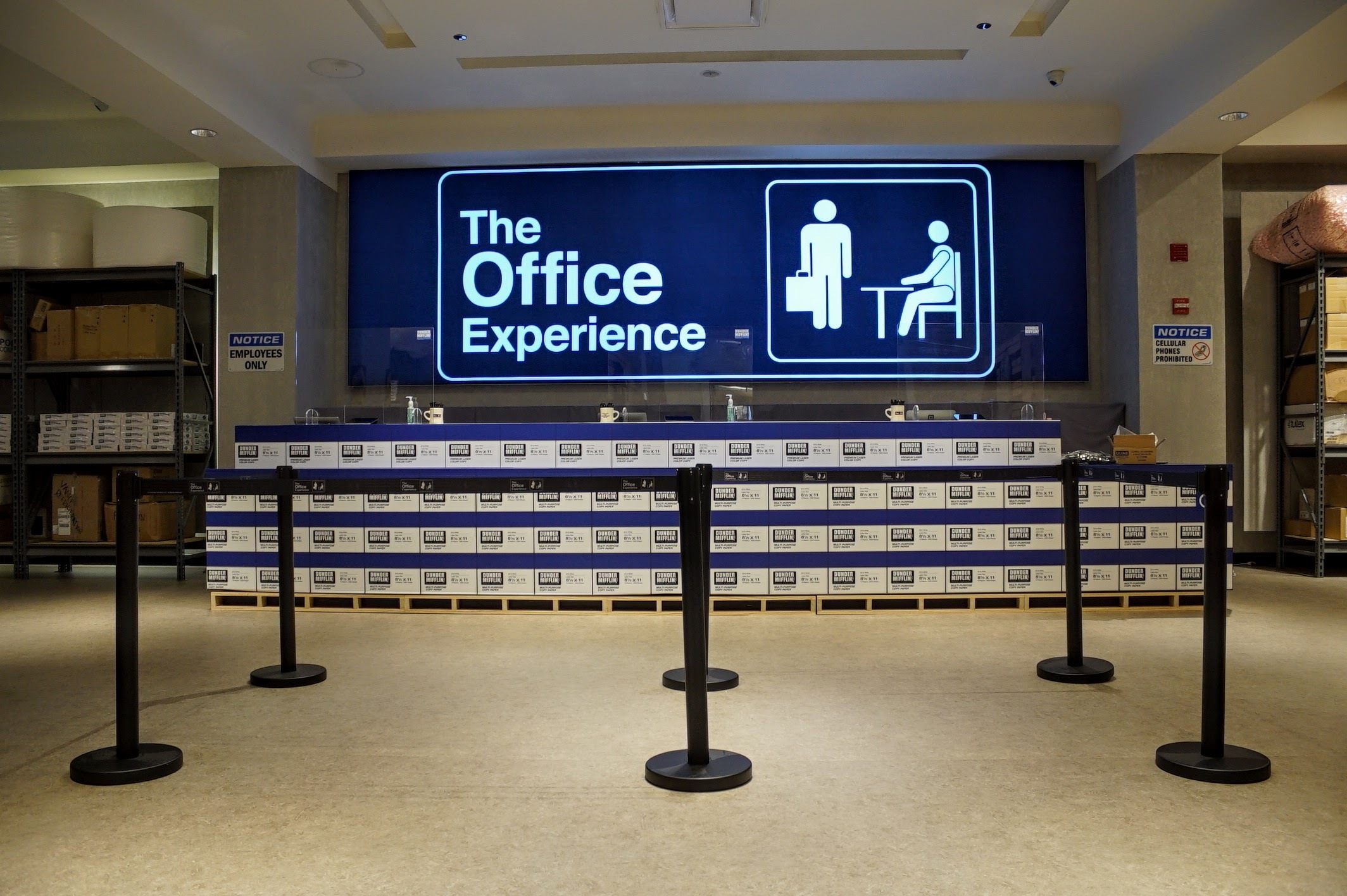 See Inside 'The Office' Pop-Up Experience Opening Friday in Chicago – NBC  Chicago