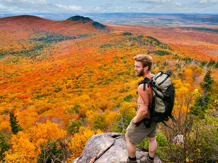 Parc national du Mont-Mégantic