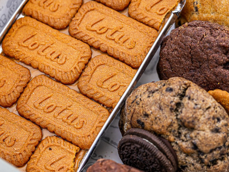 The Fancy Plants Box contains a row of thick cookies and a slab of Lotus brownie