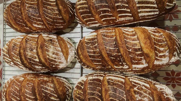 Pick up sourdough bread Micro Bakery & Kitchen