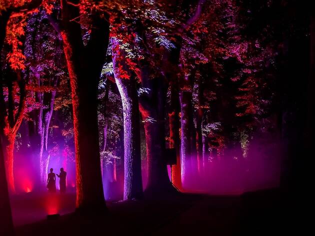 Serralves em Luz Serralves em Luz