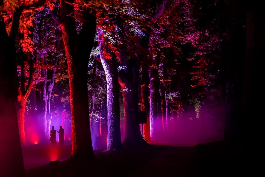 Serralves em Luz