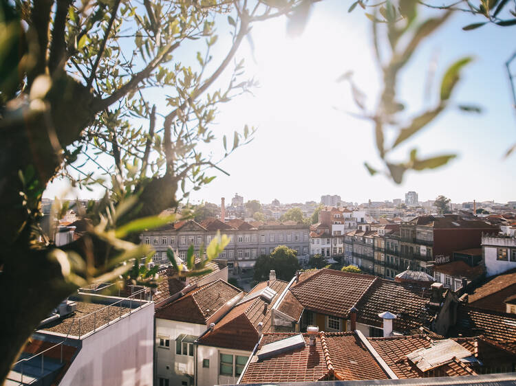 De escolas aos bombeiros, há 29 edifícios do Porto que produzem energia renovável