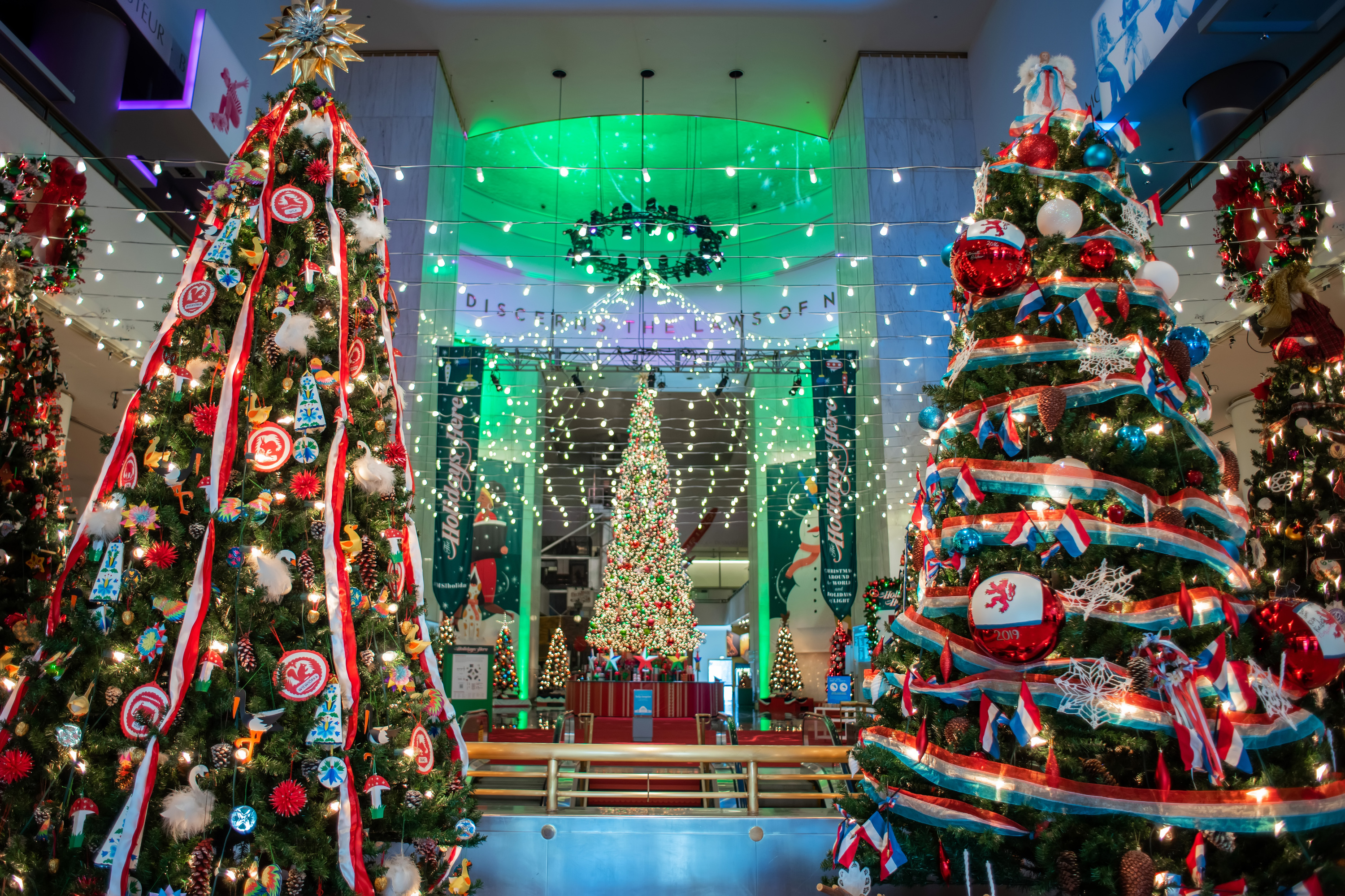 Grinch Tree Centerpiece Workshop - Second Nature at Reads Creek