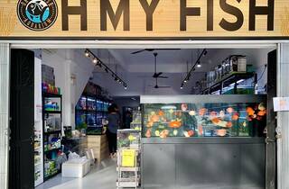 Oh My Fish Shopping In Kallang Singapore