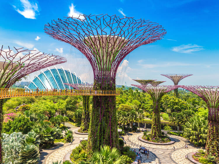 Gardens by the Bay