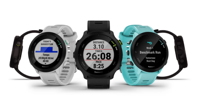 Garmin Forerunner 55 watch ($299)