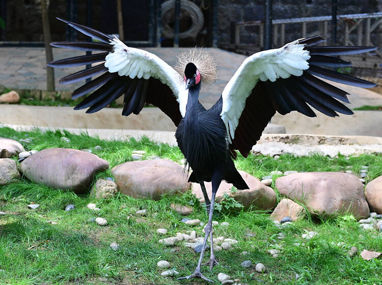 動植物公園地圖