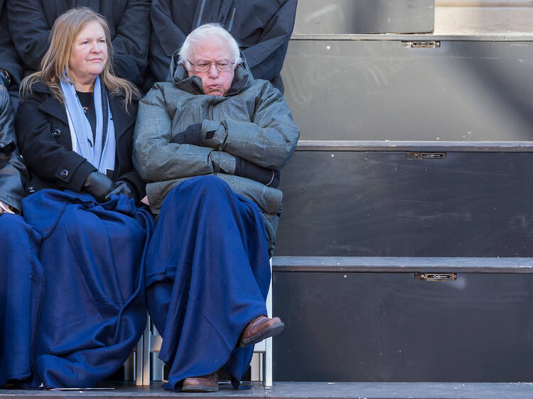 Cold Bernie Sanders