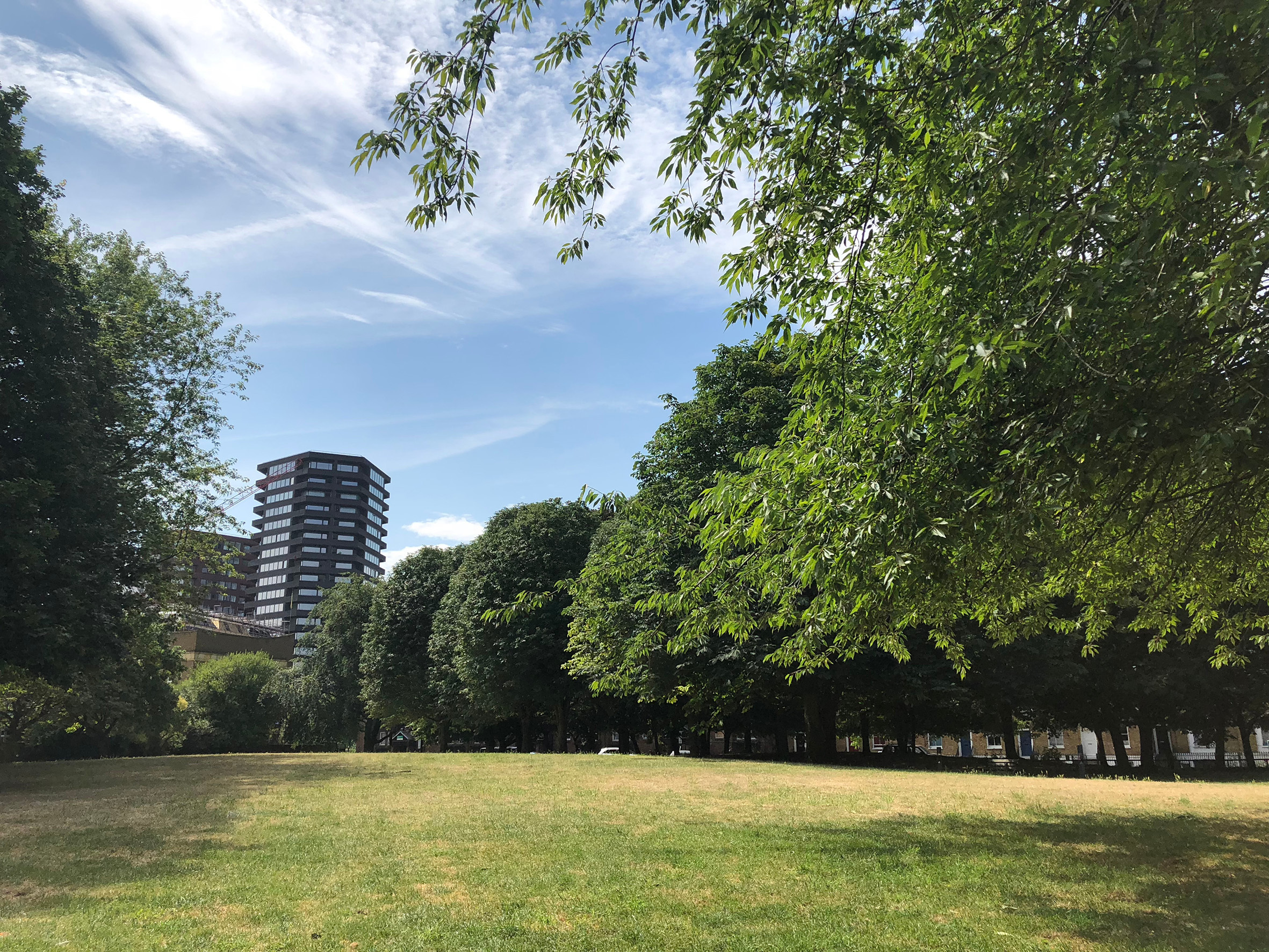 Islington wants to create a tree specialist for every housing estate