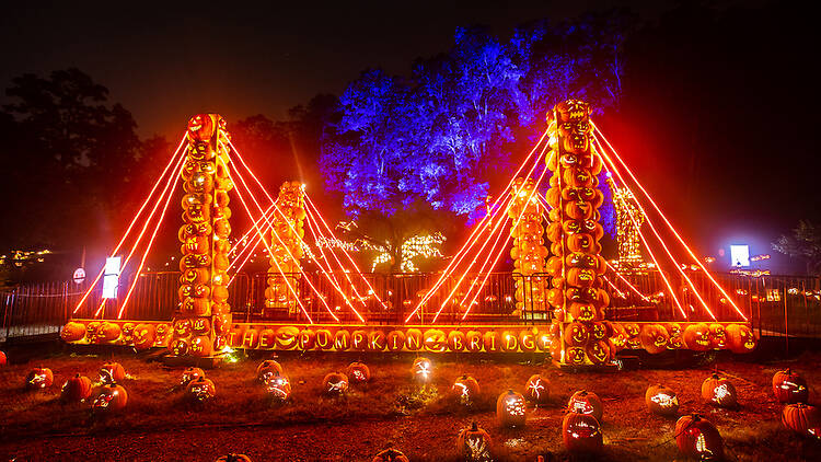 Don't miss the Great Jack O’Lantern Blaze Don't miss the Great Jack O’Lantern Blaze