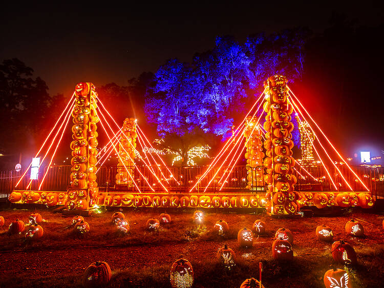 Don't miss the Great Jack O’Lantern Blaze Don't miss the Great Jack O’Lantern Blaze