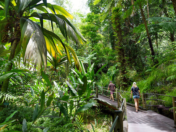 Hawaii Tropical Botanical Garden