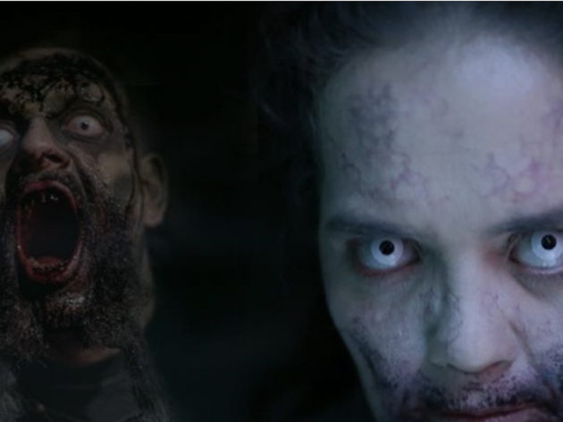 Zombis Zombis