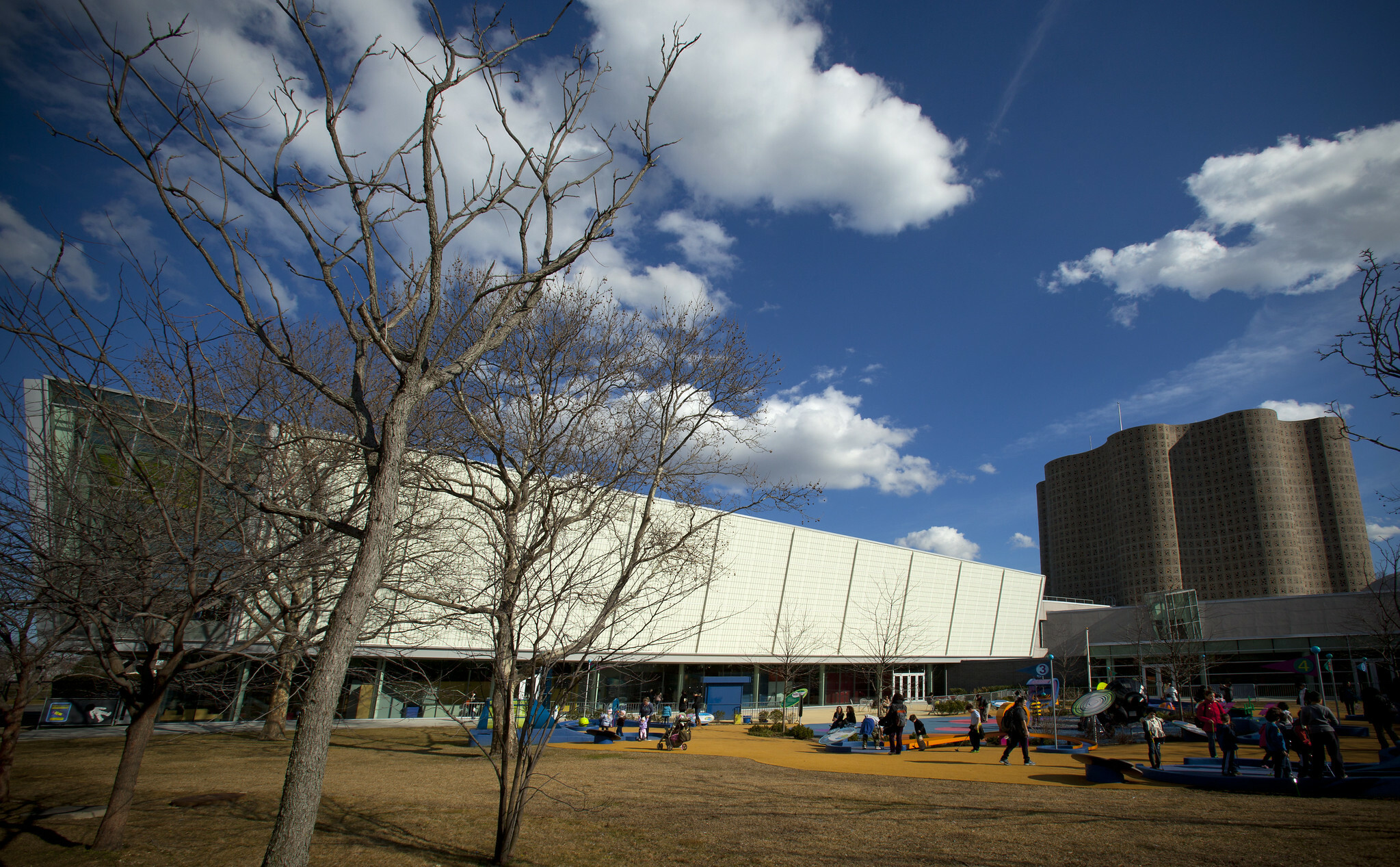 Natural Science Museum New York Free