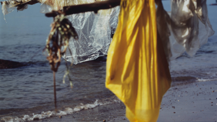 Plastic sheeting on a beach