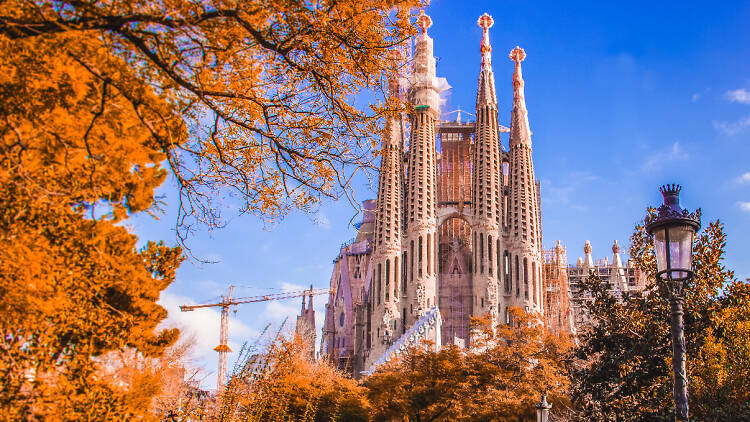 Sagrada Família Barcelona a la tardor