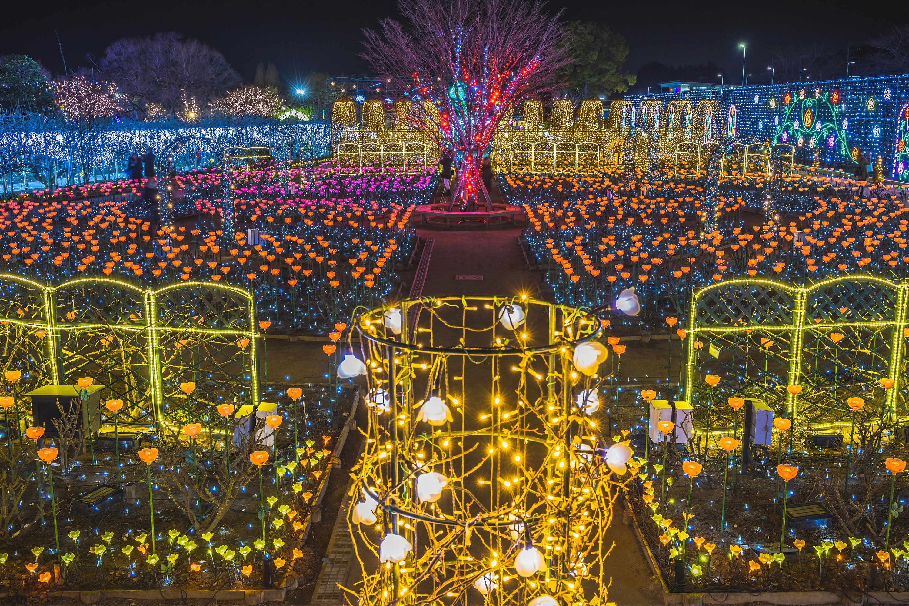 Ashikaga Flower Park has five million flower-shaped lights on 