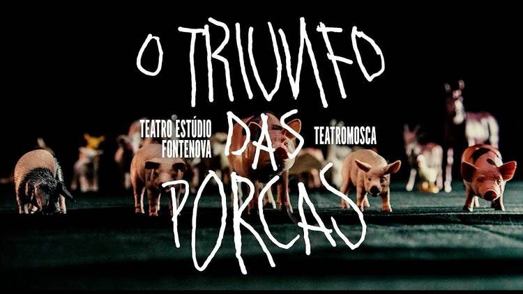 cartaz de O Triunfo das Porcas