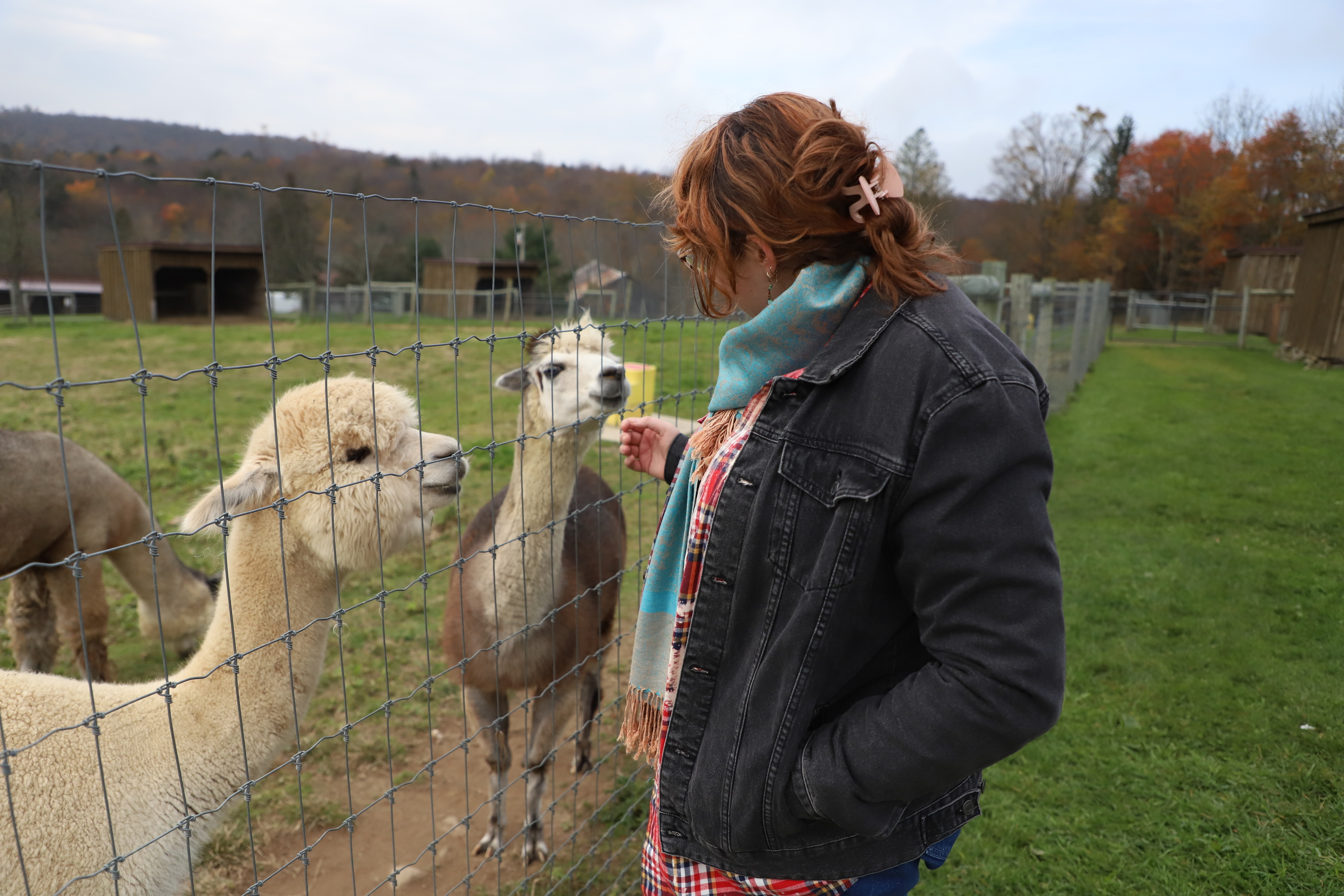 t*k様 seya for BIOTOP EX Alpaca parka\