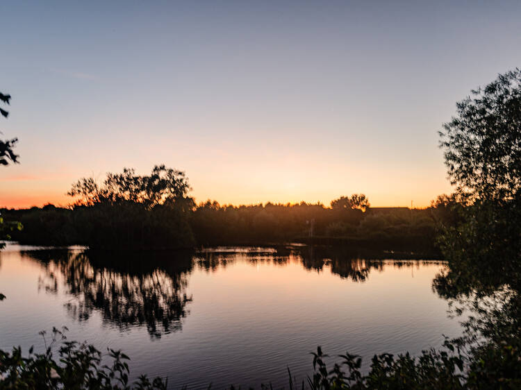 The best things to do in Dagenham, picked by a clued-up local The best things to do in Dagenham, picked by a clued-up local