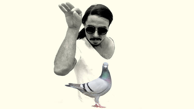 Salt Bae feeding the pigeons