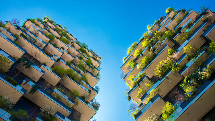 Milan is being transformed into an urban forest