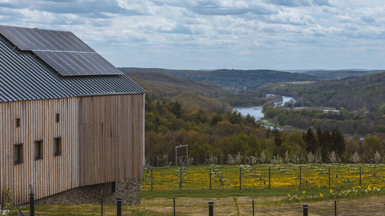 Seminary Hill Orchard & Cidery