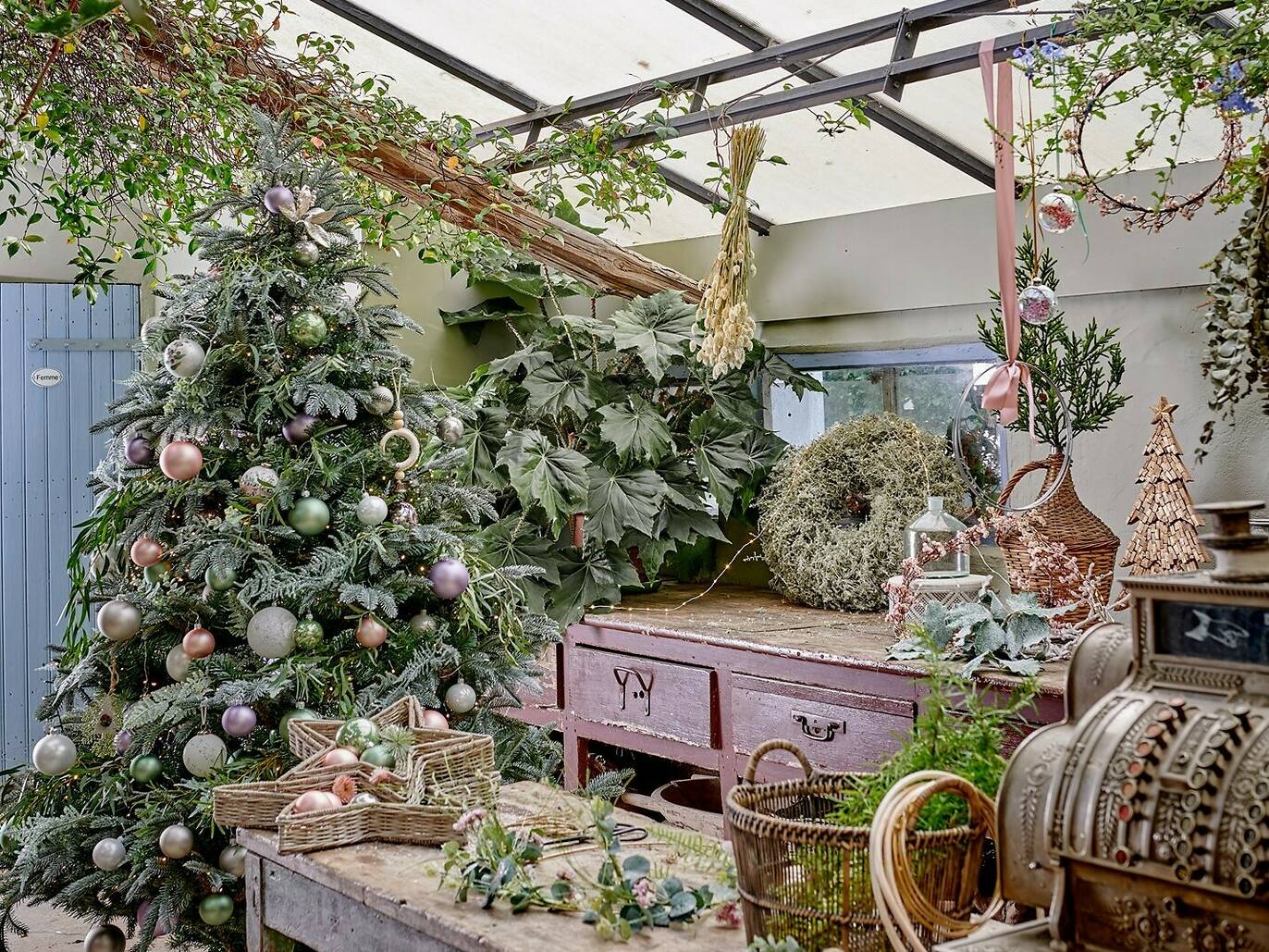 The best places to buy Christmas trees in Hong Kong