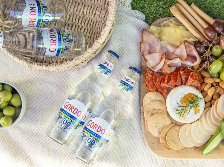 Unwinding at an elaborate picnic