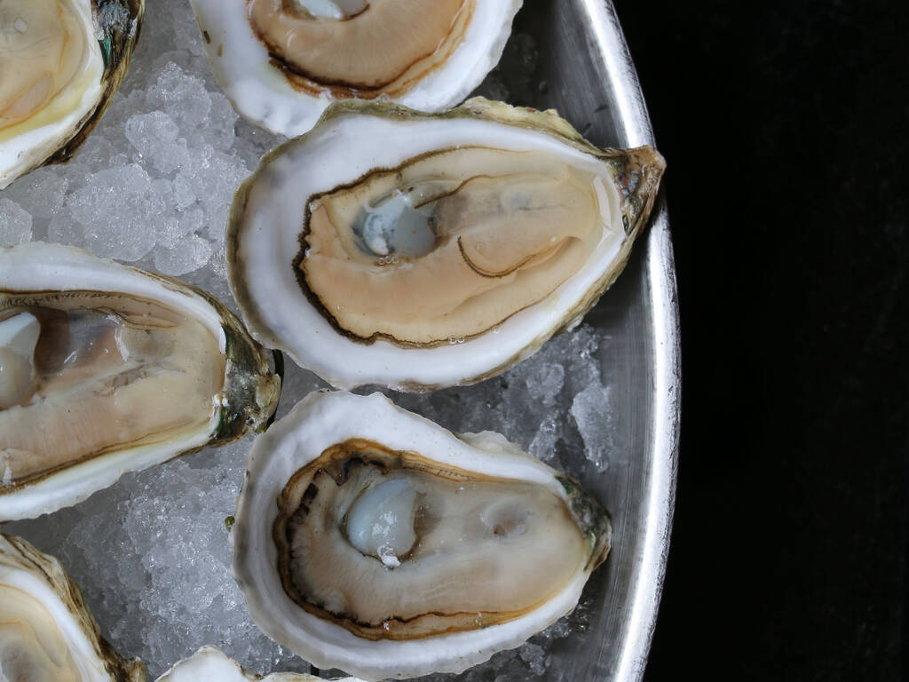 12 Best Dollar Oyster Happy Hour Deals in Boston