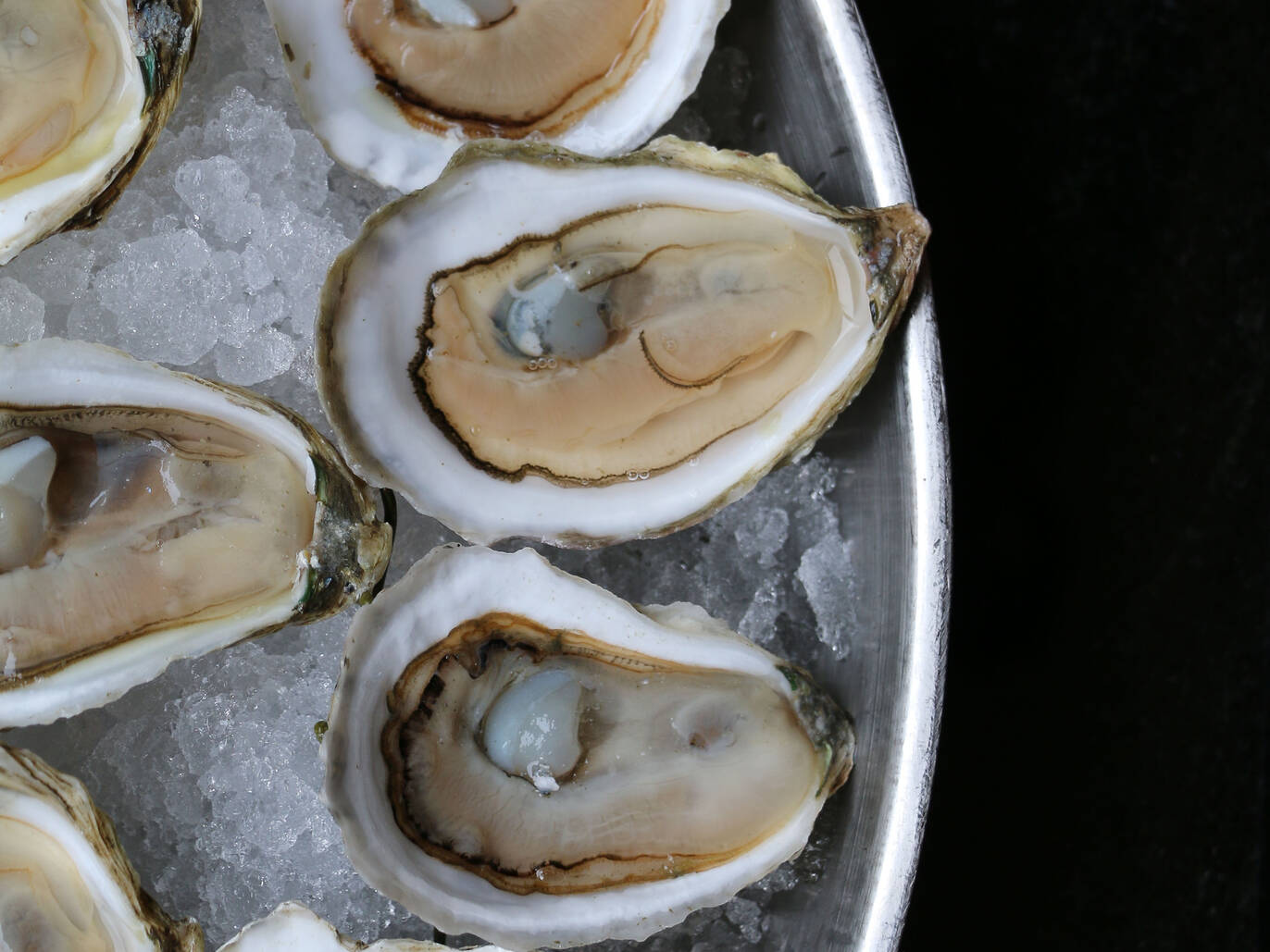 12 Best Dollar Oyster Happy Hour Deals in Boston