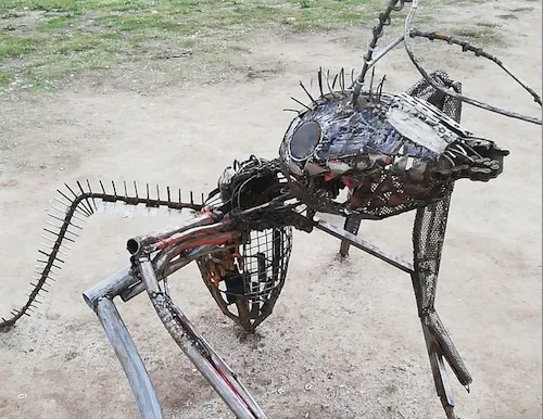 hormiga gigante cerro del tío pío