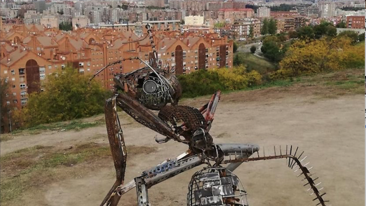 hormiga gigante cerro del Tío Pío