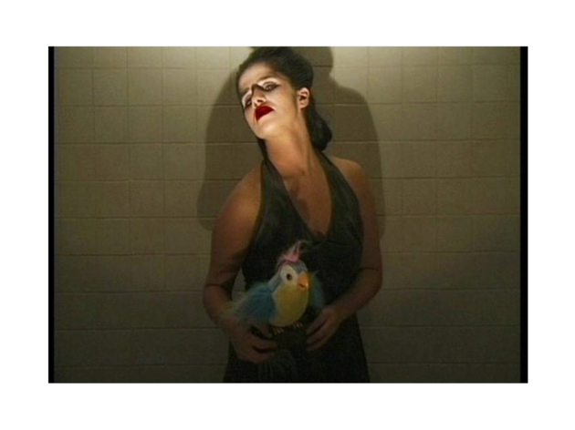 mulher com papagaio de pelúcia mulher com papagaio de pelúcia