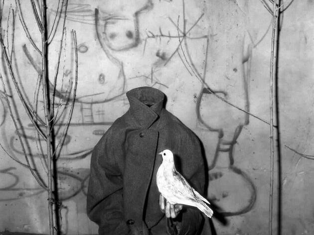 Roger Ballen Roger Ballen