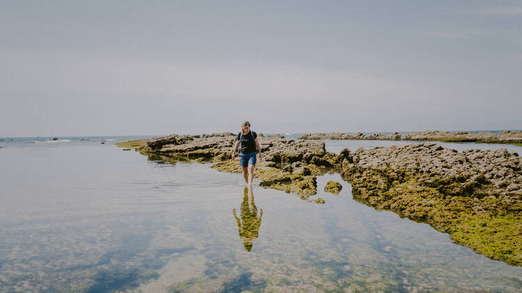 beachcombing