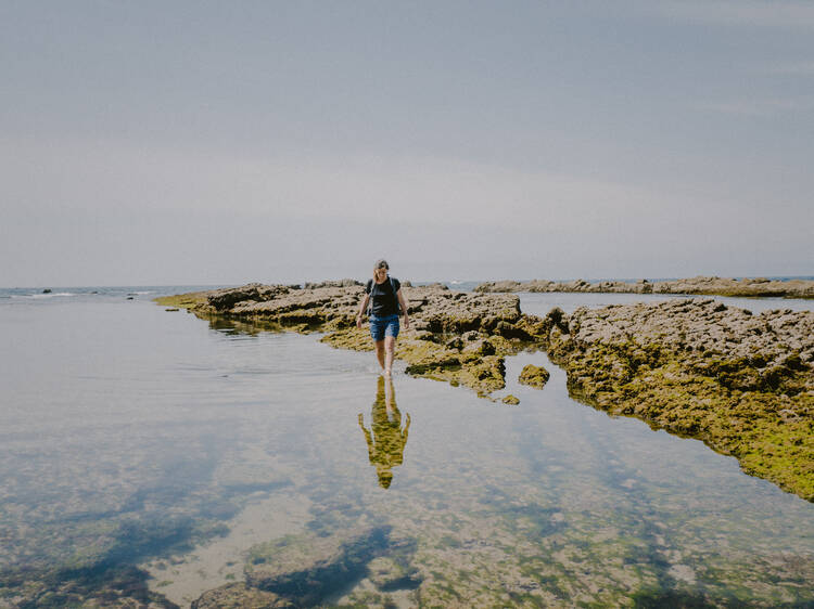 Beachcombing: um guia para famílias e naturalistas