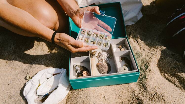 beachcombing